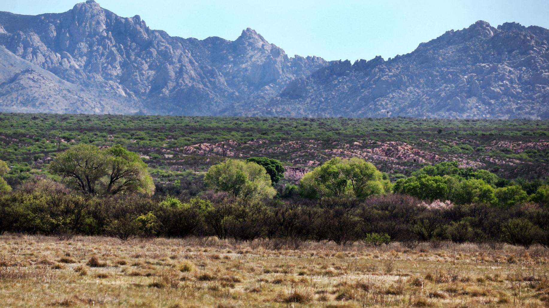 Bernhardt's meetings heighten concerns of political meddling on Arizona development